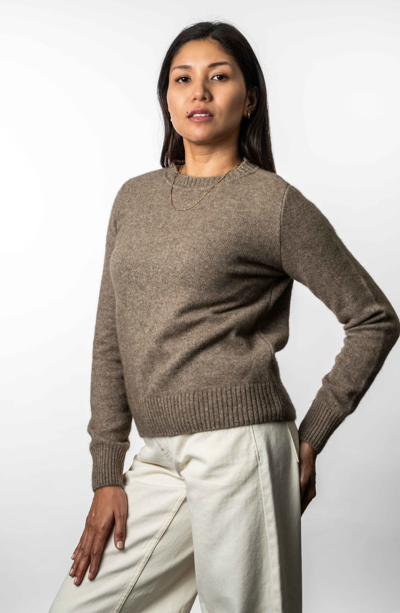 CREW NECK JUMPER