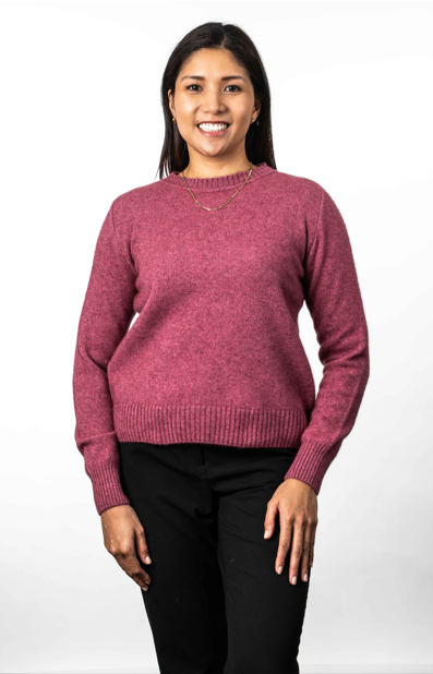 CREW NECK JUMPER