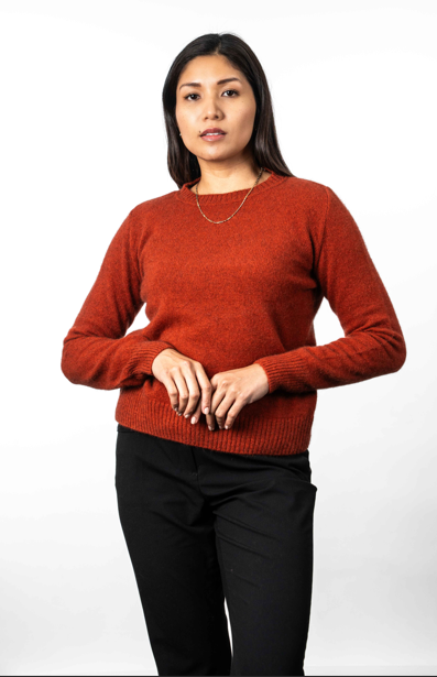 CREW NECK JUMPER