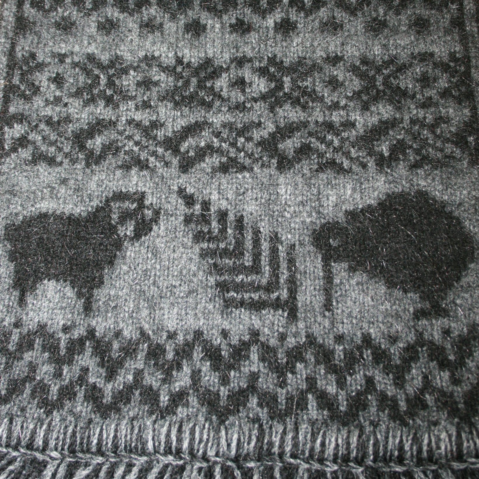 KIWI ICON SCARF - Woolshed Gallery